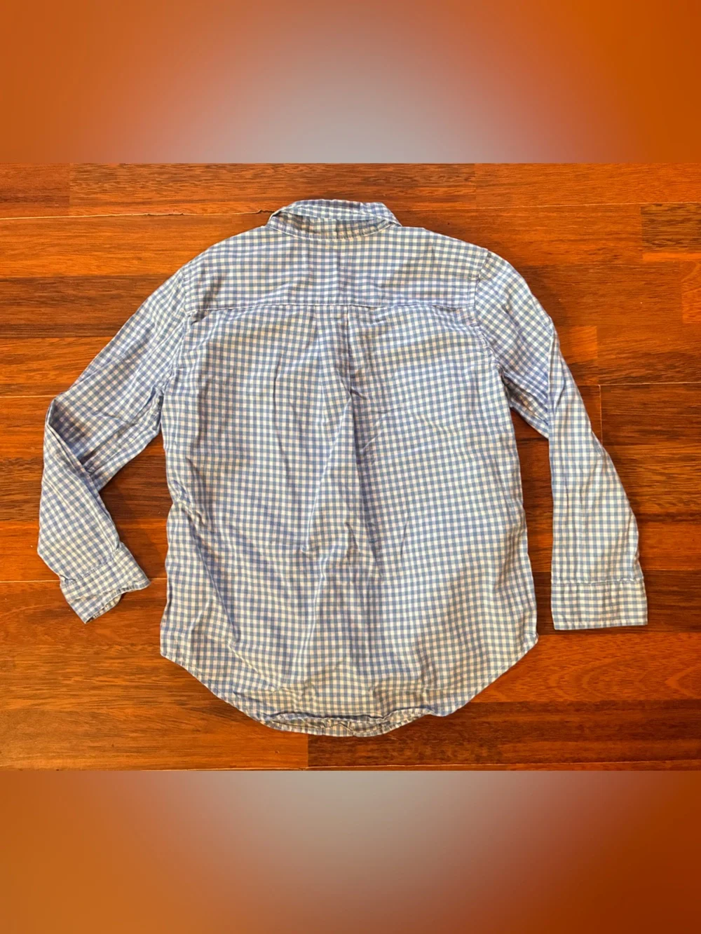 Boys Ralph Lauren Blue and White Gingham Button-Down Shirt